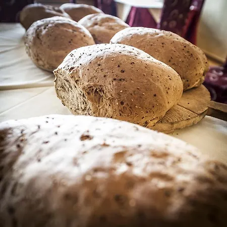 Hotel Nettuno Brenzone sul Garda