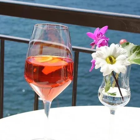 Hotell Nettuno Brenzone sul Garda