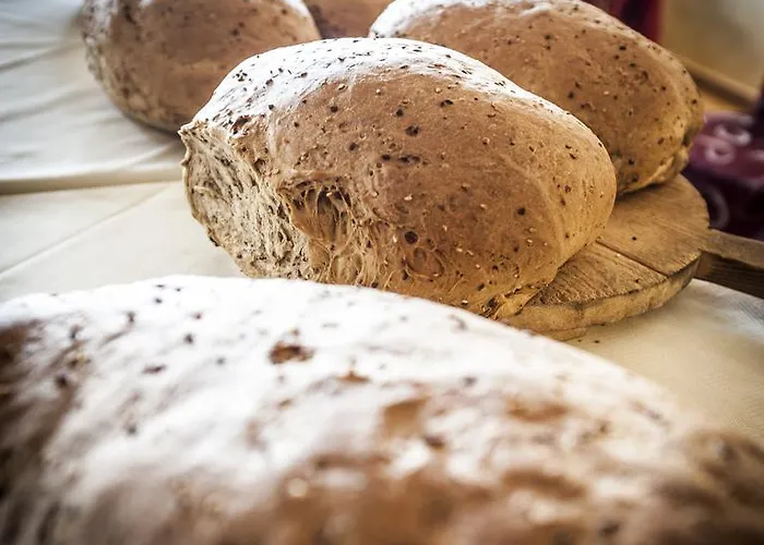 호텔 네뚜노 브렌조네 술 가르다