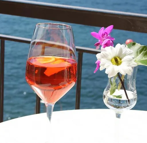 Hotell Nettuno Brenzone sul Garda