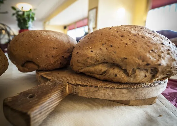 Nettuno Hotel 2*